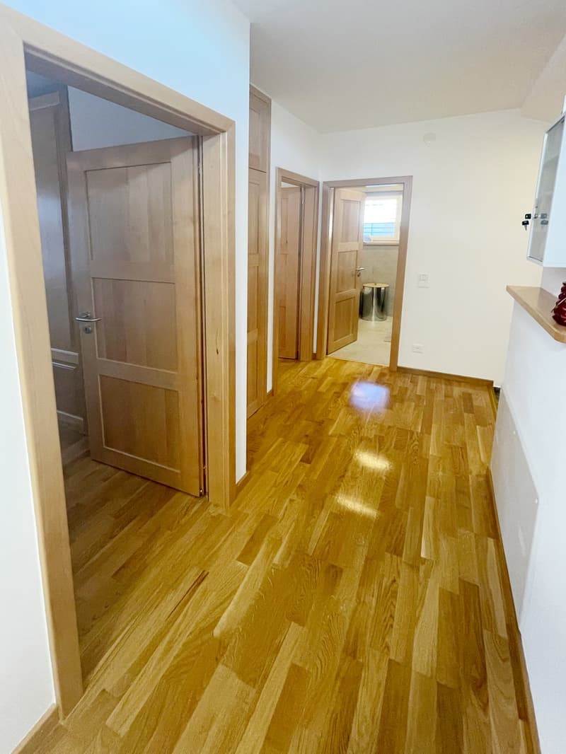 Casa 4,5 completamente ristrutturata con grande giardino e ampio fondo (14)