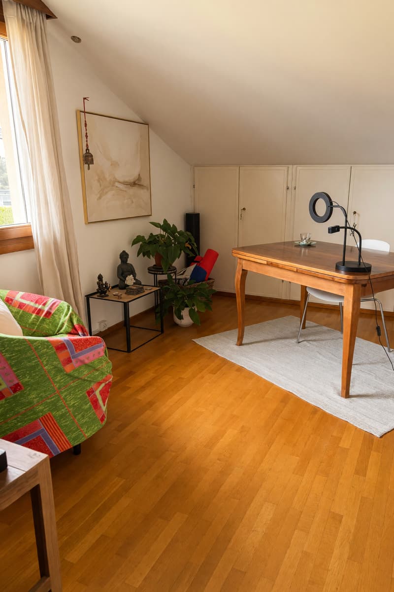Bellissimo ampio duplex 5,5 locali con terrazza panoramica e camino (16)