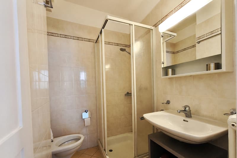 Casa bifamiliare 7 locali ristrutturata con giardino a Davesco (20)