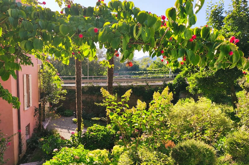 Casa bifamiliare 7 locali ristrutturata con giardino a Davesco (24)