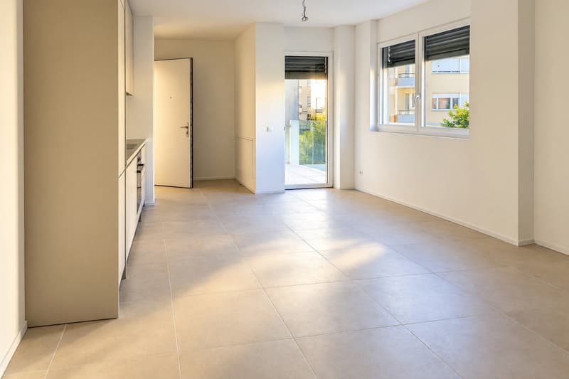 Luminoso appartamento 2,5 locali con terrazza coperta (2)