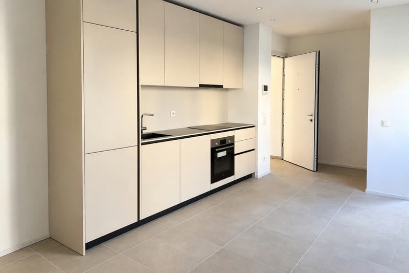 Nuovo appartamento 2,5 locali con terrazza coperta e finiture moderne (3)