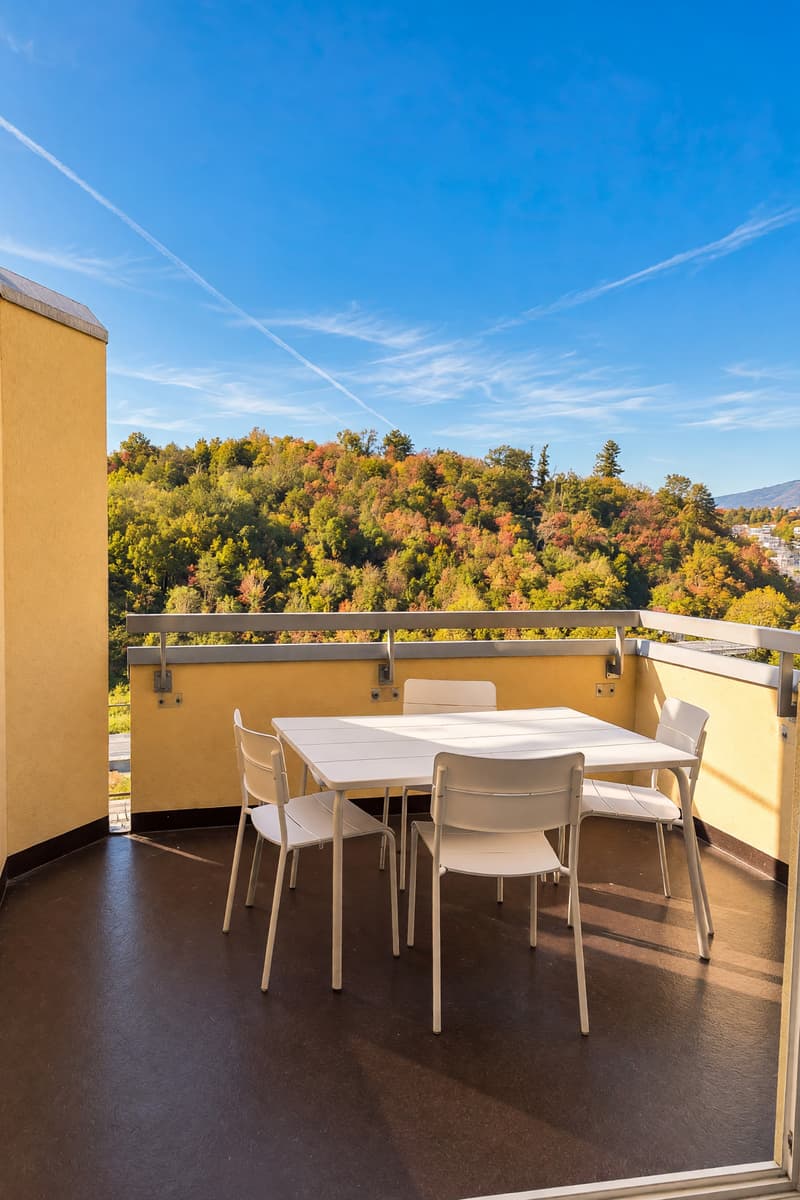 4,5 ristrutturato con terrazza e vista aperta. (8)