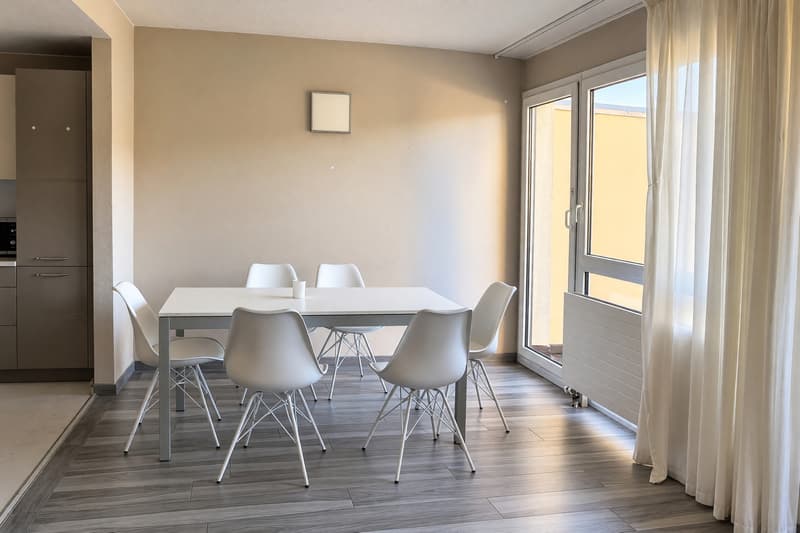 4,5 ristrutturato con terrazza e vista aperta. (4)