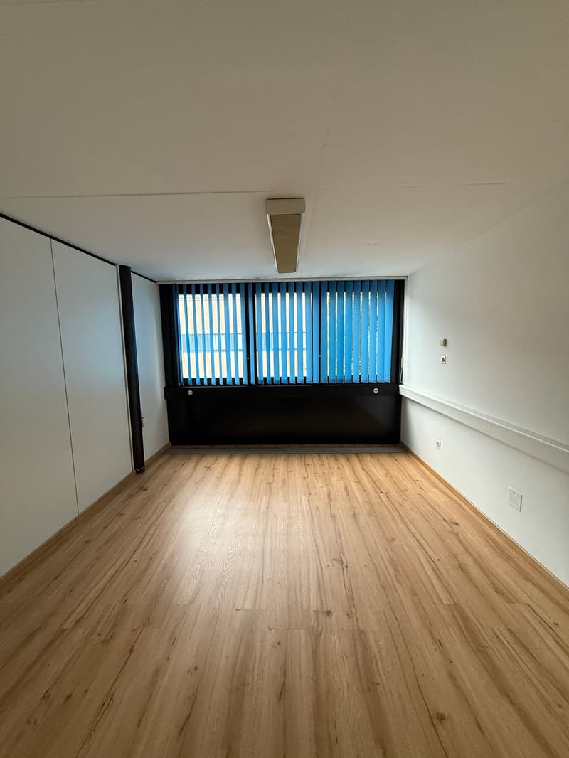 Ufficio luminoso di 6 locali in affitto a Lamone (3)