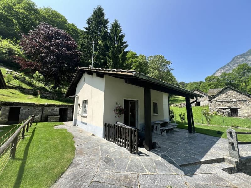 Casa con terreno (3)