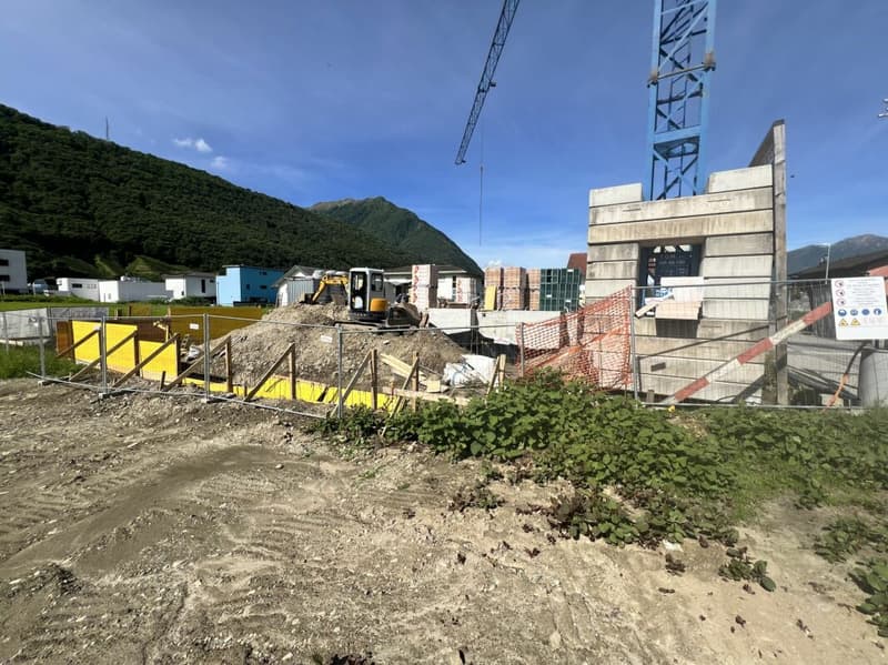 Appartamento 4.5 locali al piano terra con giardino (5)