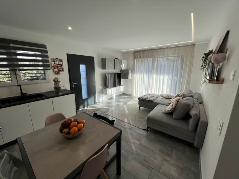 Moderna casa bifamiliare individuale, di 4.5 +3.5 locali con ampio giardino (2)