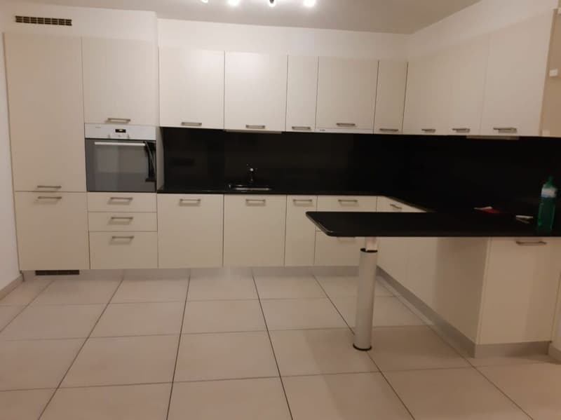 Haus mit 2,5+5,5 Zimmern und Grundstück (12)