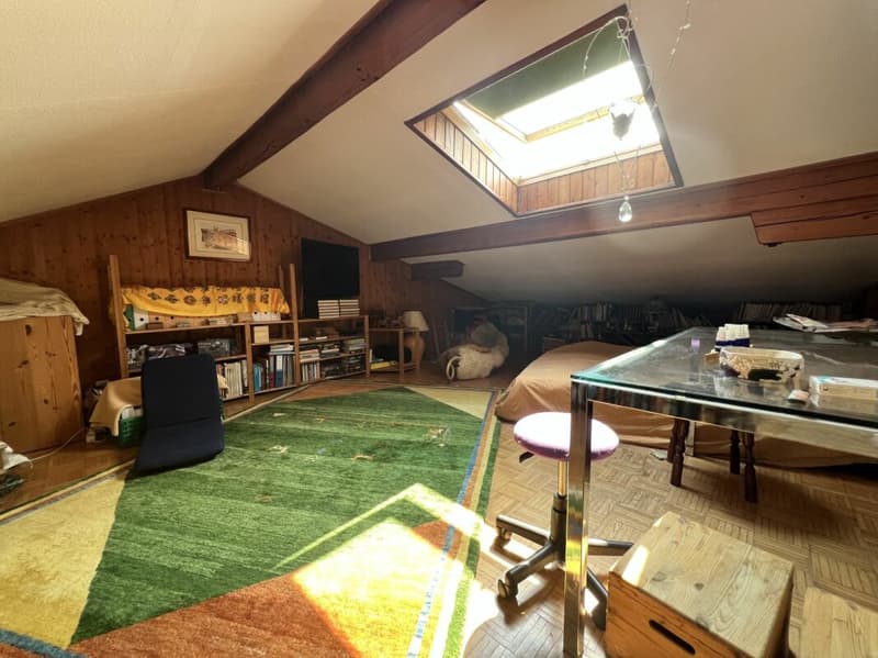 Bifamily house with large green space (11)