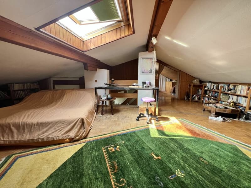 Bifamily house with large green space (12)