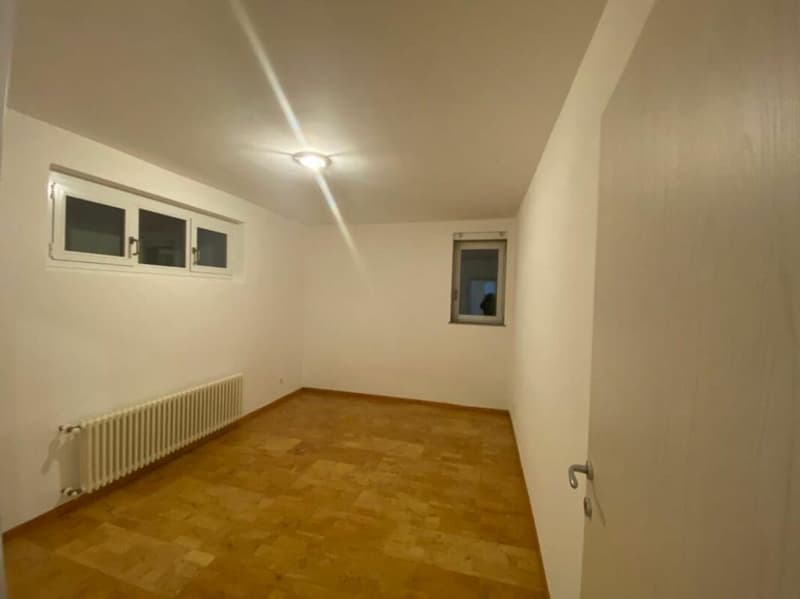 Bifamily house with large green space (16)