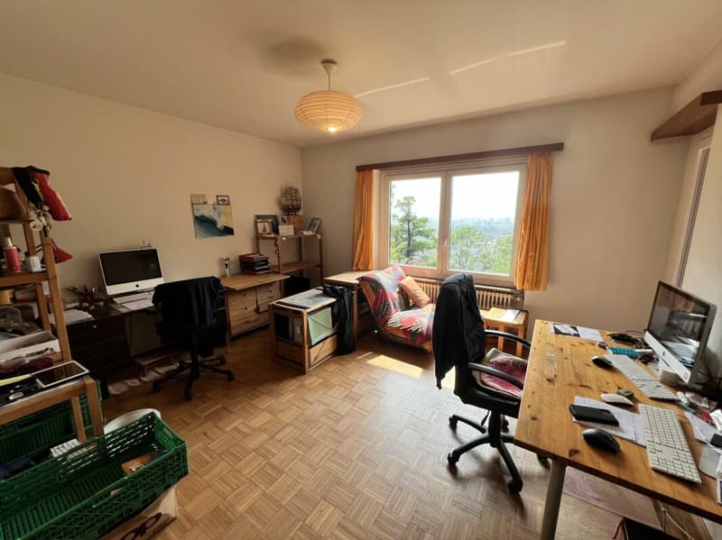Bifamily house with large green space (8)