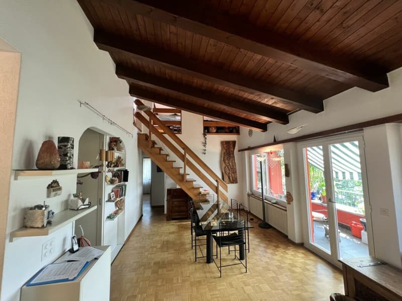Bifamily house with large green space (2)