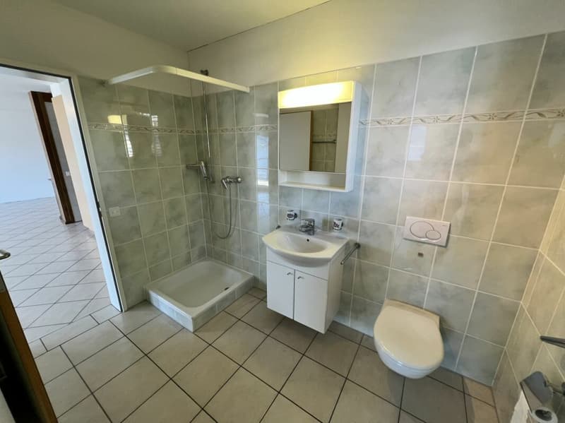 Appartamento 4.5 locali con meravigliosa vista lago (11)