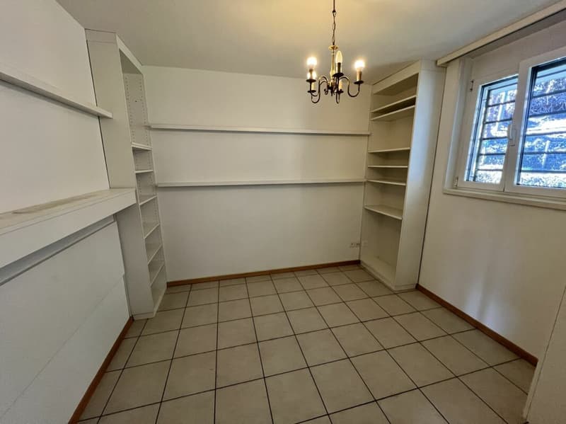 Appartamento 4.5 locali con meravigliosa vista lago (17)