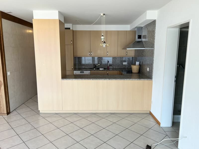 Appartamento 4.5 locali con meravigliosa vista lago (5)