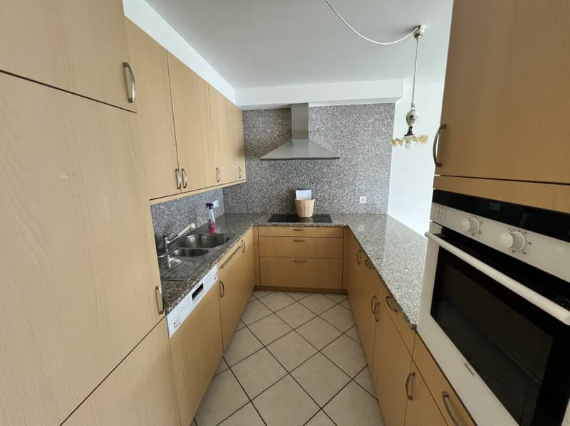 Appartamento 4.5 locali con meravigliosa vista lago (6)