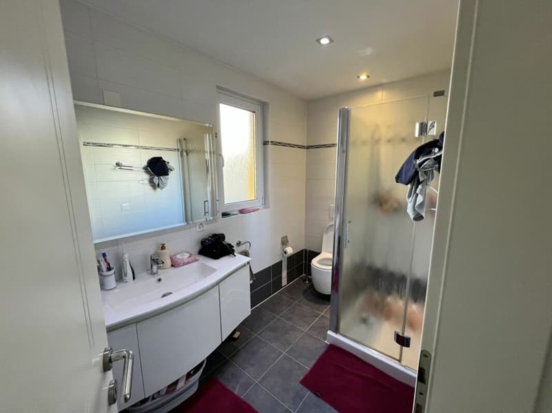 Uni/bi-family house of 3.5 + 3.5 rooms with garden (21)
