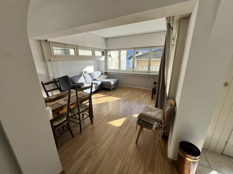 Apartment 3.5 with partial lake view (4)