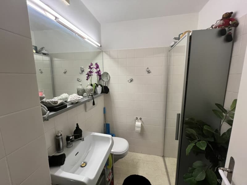 Elegant 2.5-room apartment with garden (18)