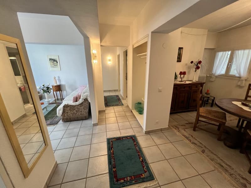 Appartamento di 4 locali con giardino (4)