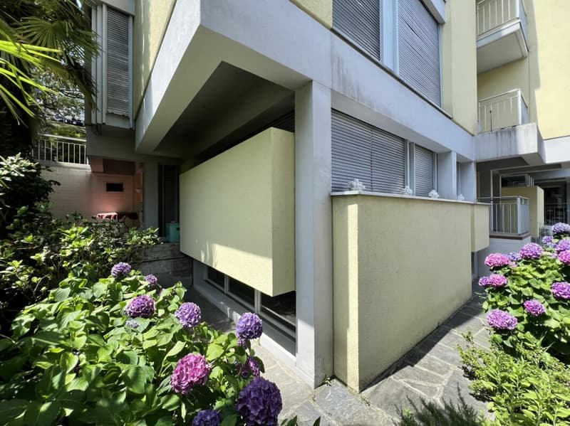 Appartamento di 4 locali con giardino (16)