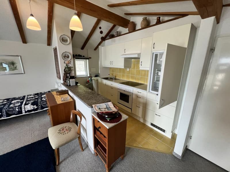Studio Apartment with lovely Lake View (6)