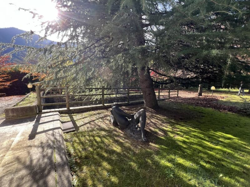 Villa di lusso in Valle Vigezzo (43)