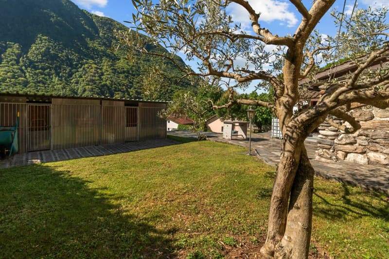 Villa bifamiliale prestigieuse avec piscine, grotte, dépendance et garage avec atelier (26)