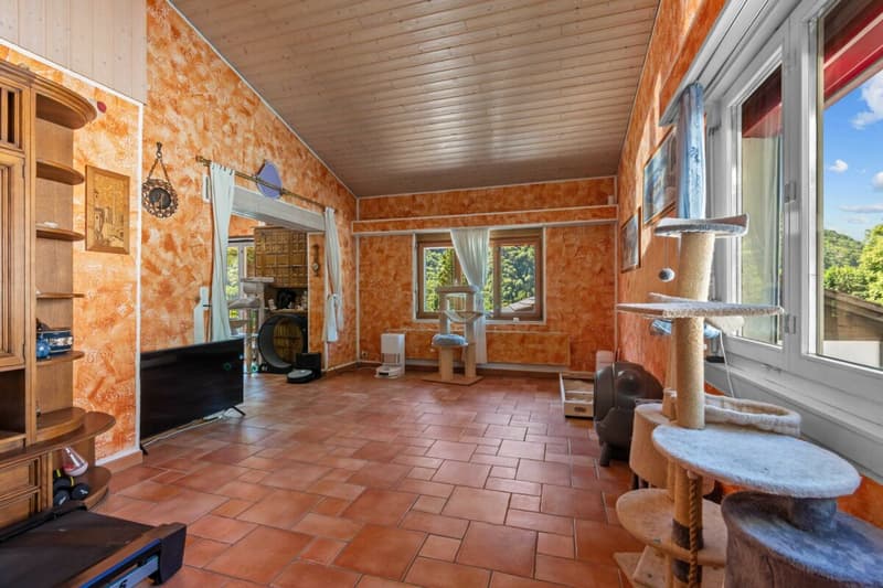 Villa bifamiliale prestigieuse avec piscine, grotte, dépendance et garage avec atelier (7)