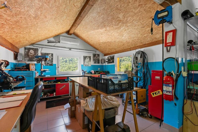 Villa bifamiliale prestigieuse avec piscine, grotte, dépendance et garage avec atelier (23)