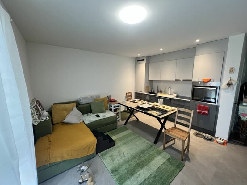 Apartment building with 5 apartments with 2.5 rooms (4)