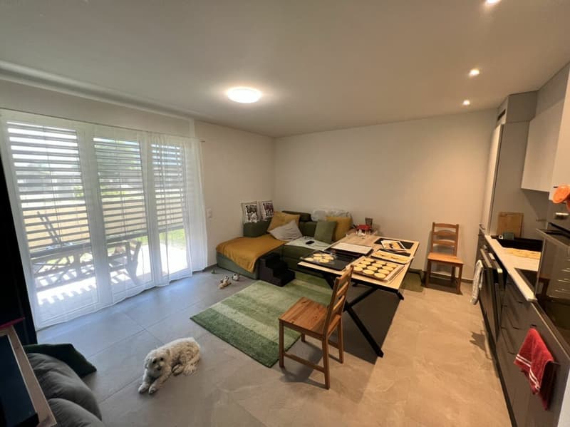 Apartment building with 5 apartments with 2.5 rooms (3)