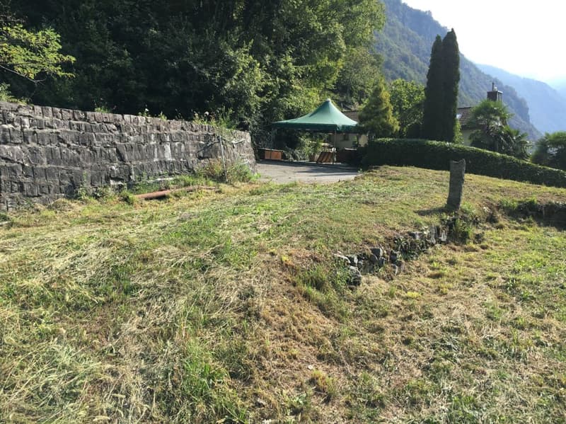 Terrain constructible R3 + terrain boisé (5)