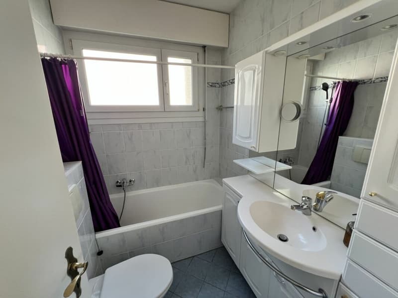 Appartement 4.5 pièces avec vue sur le lac (12)