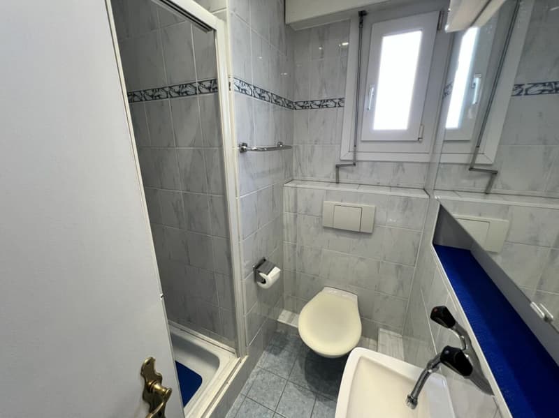 Appartement 4.5 pièces avec vue sur le lac (13)