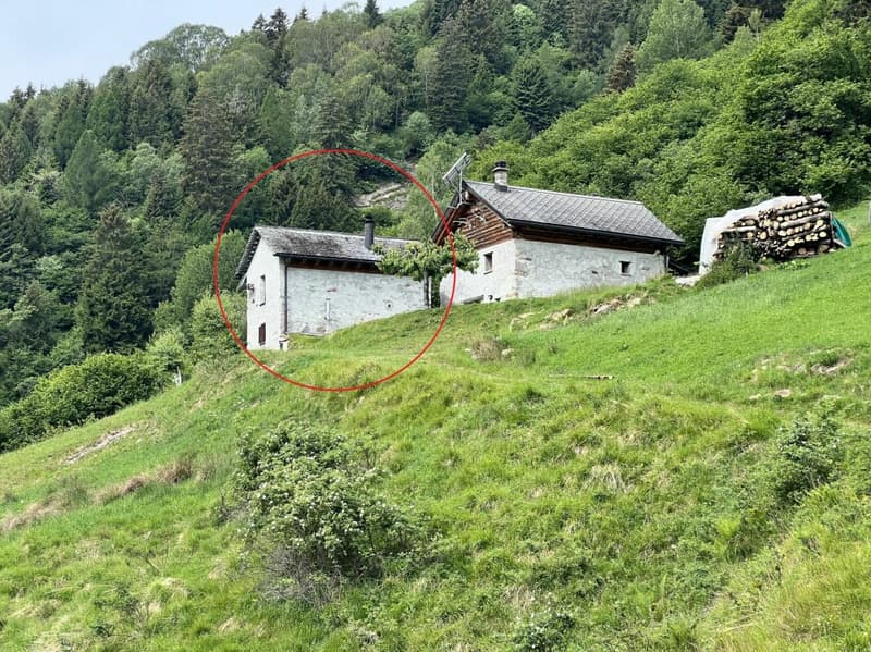 Rustico di 3 locali con terreno (16)