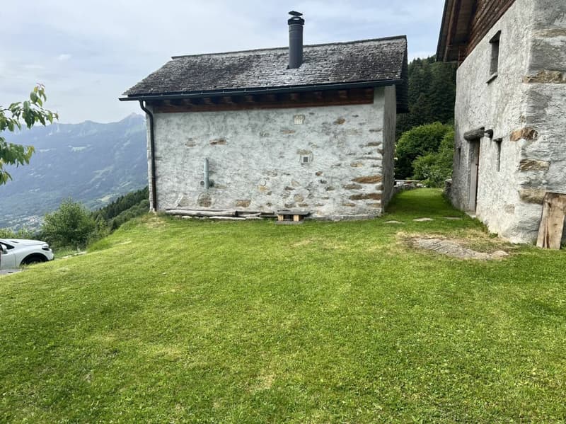 Rustico di 3 locali con terreno (14)