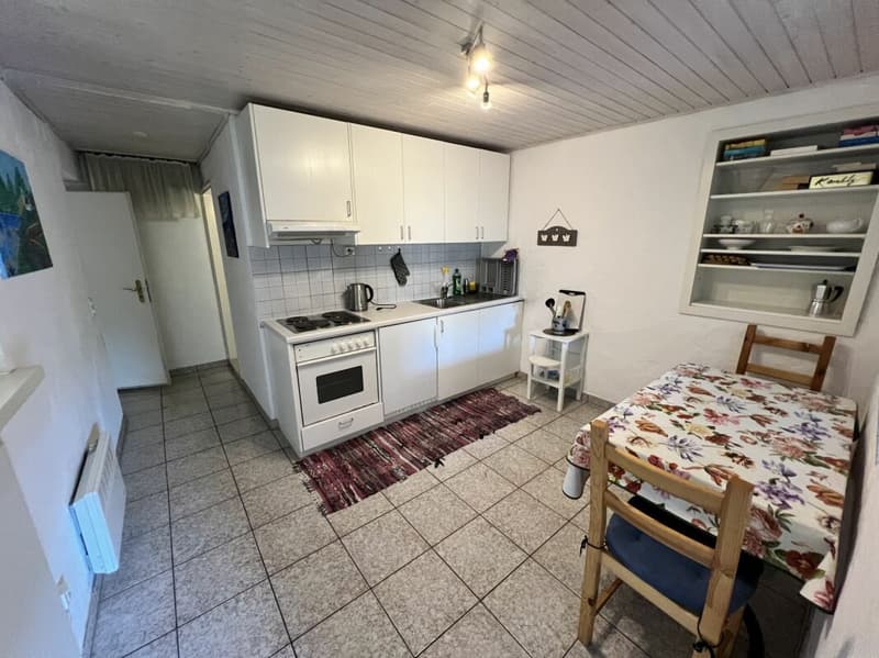 Casa bifamigliare a schiera centrale di 2 + 3.5 locali, con corte (4)