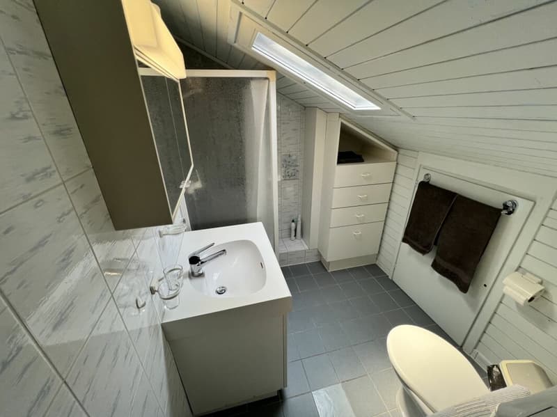 Casa bifamigliare a schiera centrale di 2 + 3.5 locali, con corte (17)