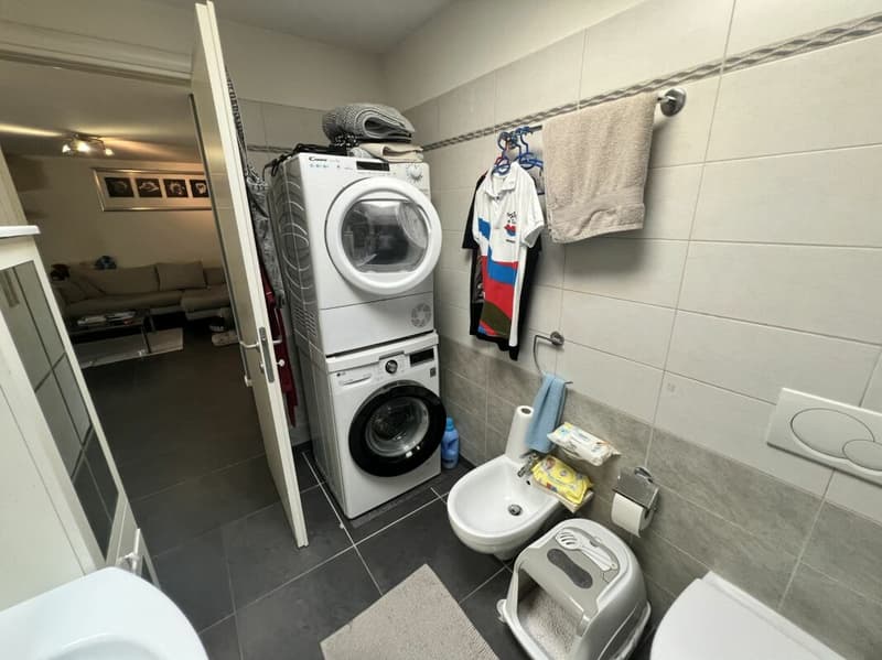 Appartement de 2.5 pièces en attique, avec 1 place de parking interne et 1 place de parking externe (10)