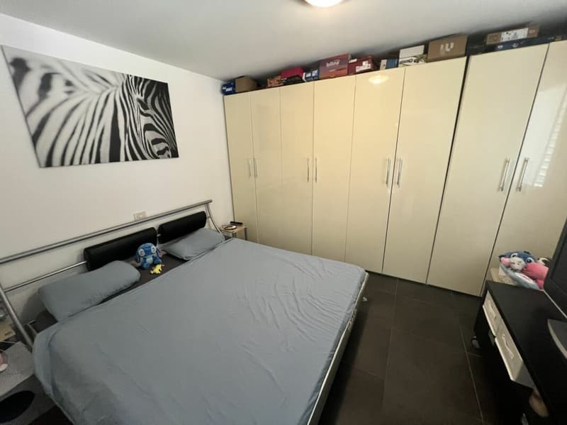 Appartement de 2.5 pièces en attique, avec 1 place de parking interne et 1 place de parking externe (8)