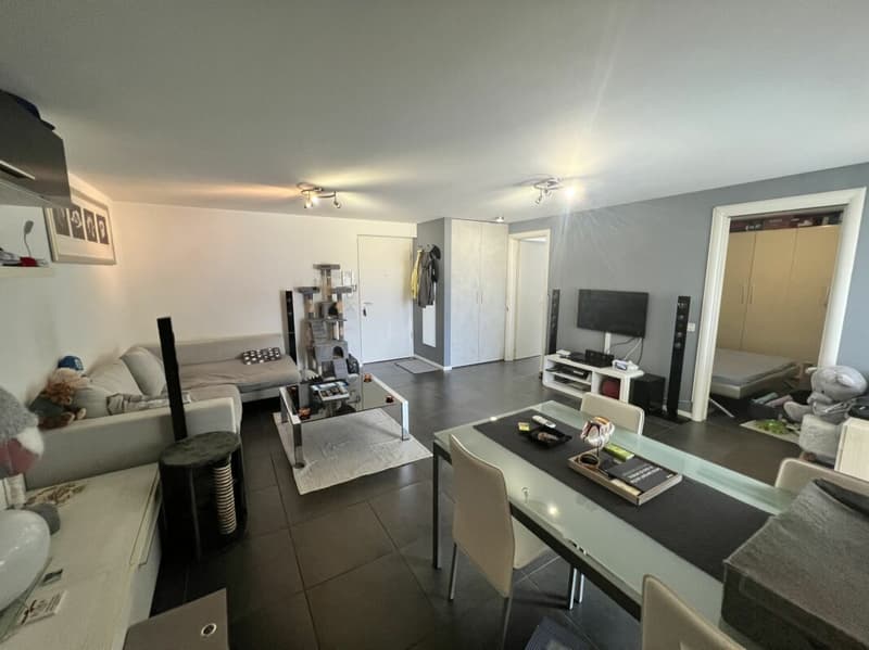 Appartement de 2.5 pièces en attique, avec 1 place de parking interne et 1 place de parking externe (5)