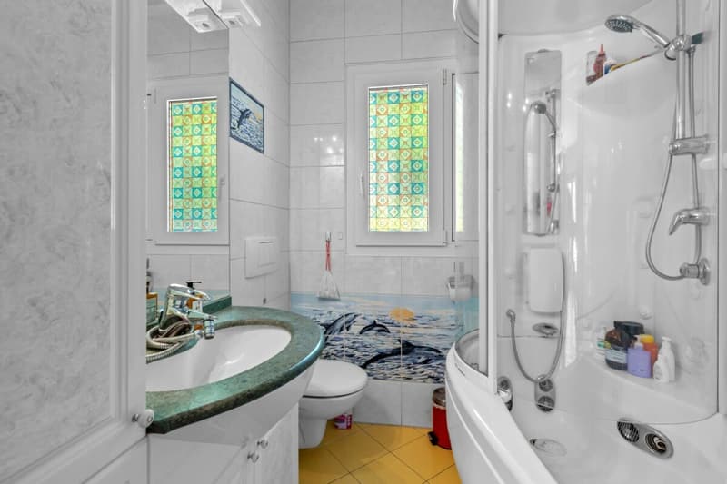 Prestigiosa villa bifamiliare con piscina e grottino (14)