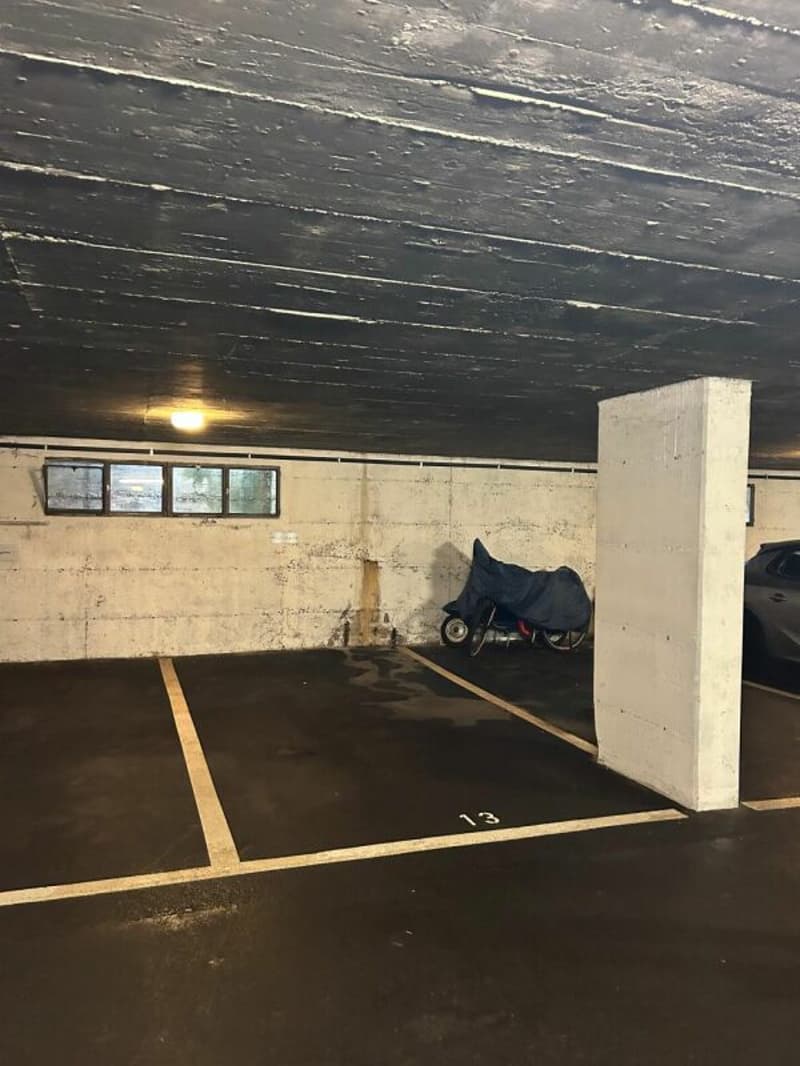 Appartamento 1.5 locali con terrazza (8)