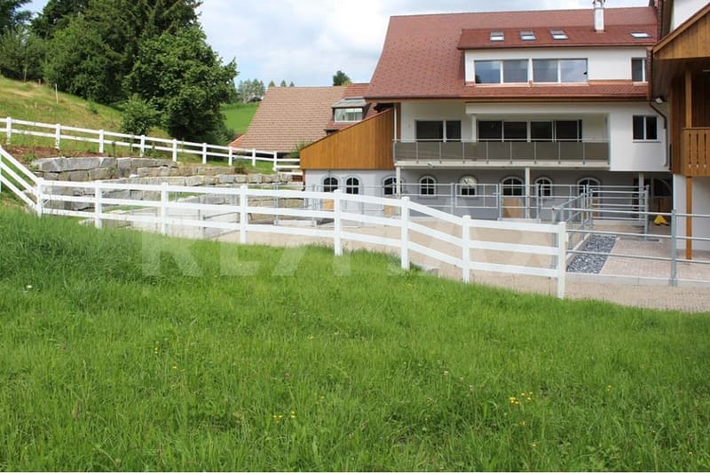 Charming property with 7 apartments, 4 horse boxes with outdoor area, and luxurious wellness refuge (12)