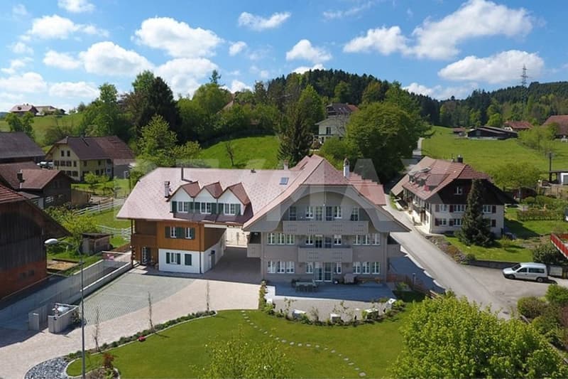 Charming property with 7 apartments, 4 horse boxes with outdoor area, and luxurious wellness refuge (1)