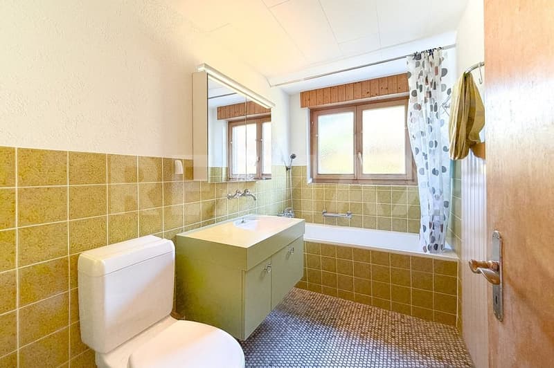 Dreifamilienhaus mit Gewerbefläche - in gemischter Wohn- und Gewerbezone (13)
