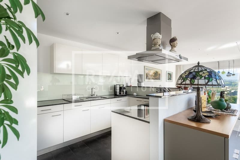 Penthouse feeling with Pilatus view: Exclusive 5½-room maisonette apartment (6)